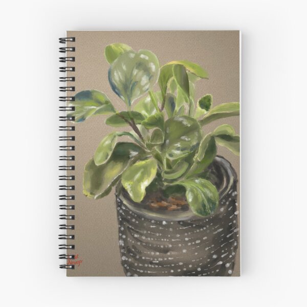 Item preview, Peperomia obtusifolia variegata  designed and sold by Jennie Kessinger.