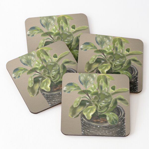 Item preview, Peperomia obtusifolia variegata  designed and sold by Jennie Kessinger.