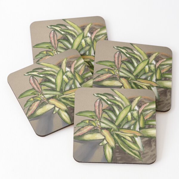 Item preview, Hoya Kentiana Variegata designed and sold by Jennie Kessinger.