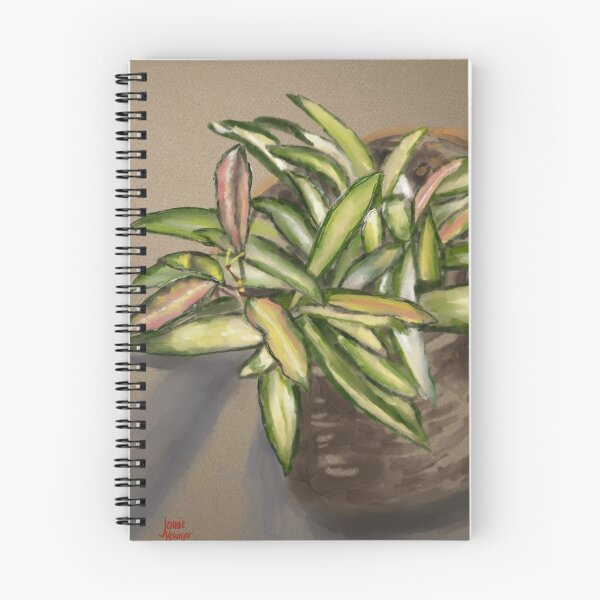 Item preview, Hoya Kentiana Variegata designed and sold by Jennie Kessinger.