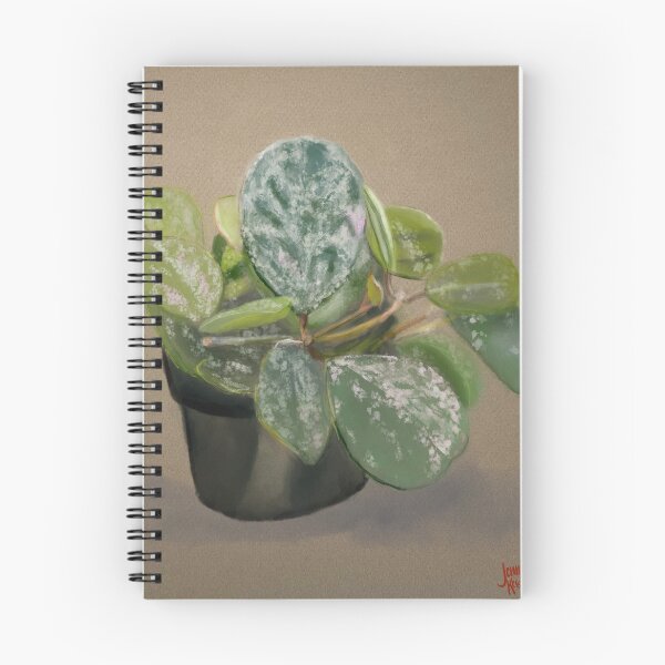 Artikelvorschau, Hoya Obovata entworfen und verkauft von Jennie Kessinger.