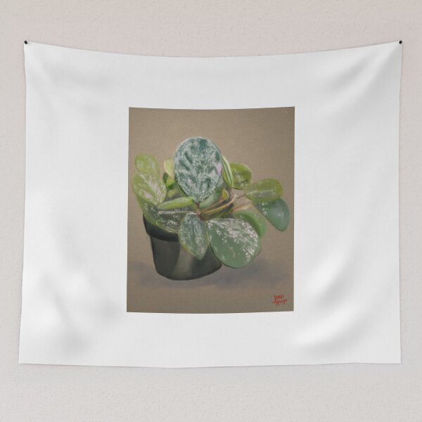 Item preview, Hoya Obovata designed and sold by Jennie Kessinger.