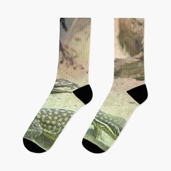 Item preview, FOCUSED designed and sold by BOLLA67.