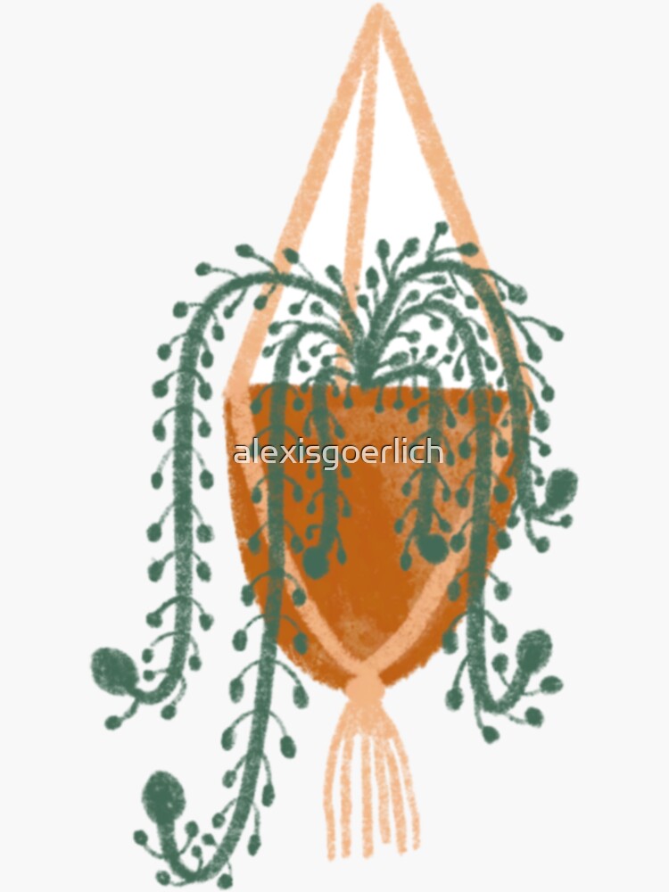 Cute hanging plant by alexisgoerlich