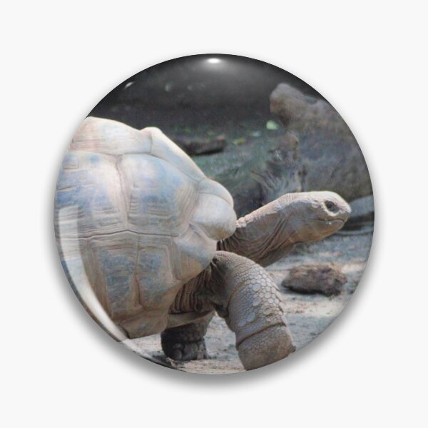 Item preview, SPEEDY designed and sold by BOLLA67.