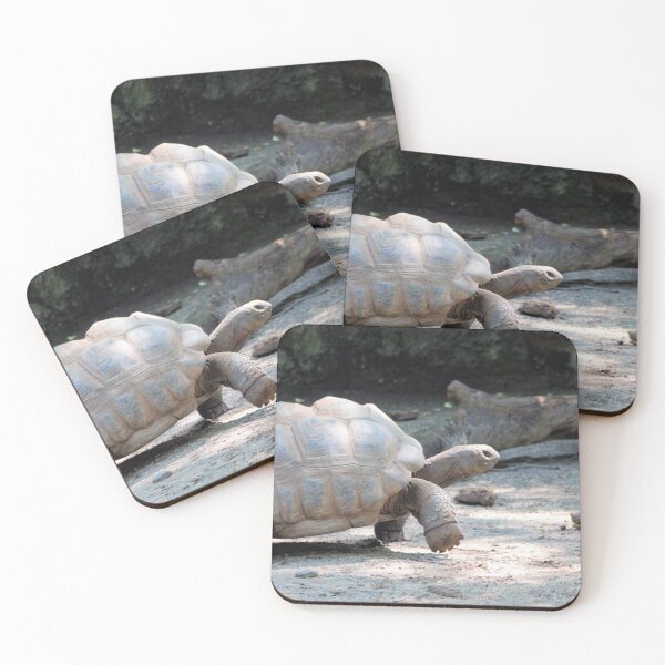 Item preview, SPEEDY designed and sold by BOLLA67.