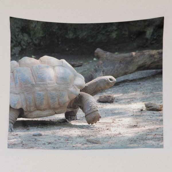 Item preview, SPEEDY designed and sold by BOLLA67.
