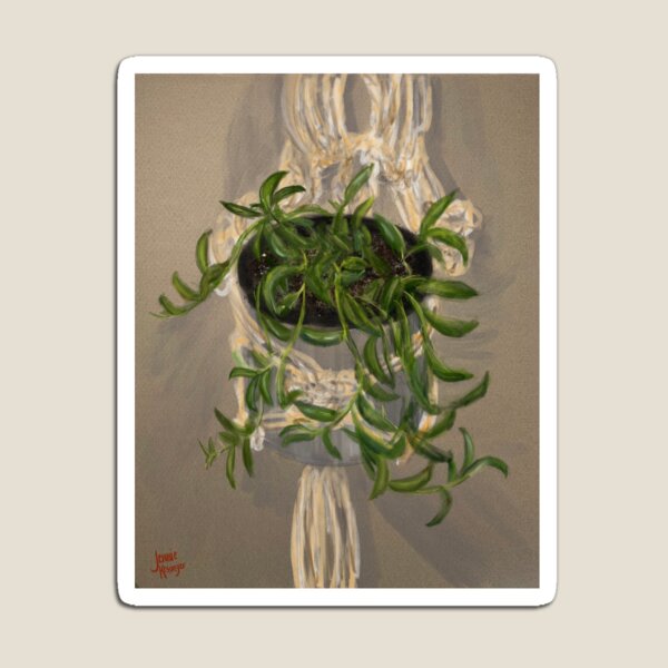 Item preview, String of Bananas - Senecio radicans designed and sold by Jennie Kessinger.