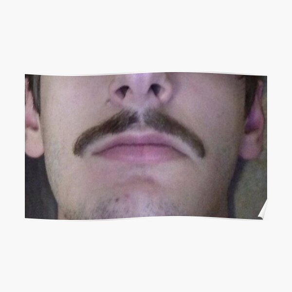 coco stache Poster