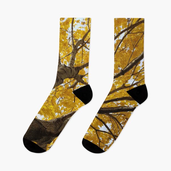 Artikelvorschau, Golden Light Maple entworfen und verkauft von Rebecca Jane.