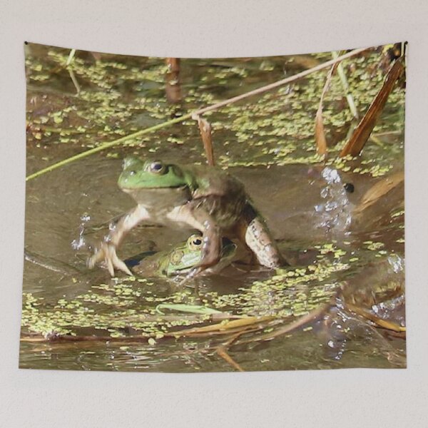 Item preview, Leap Frog designed and sold by Penwortham.
