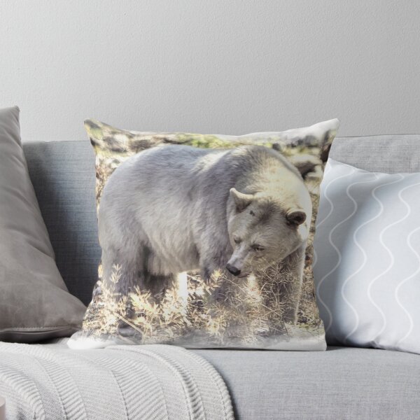 Artikelvorschau, Seltener Kermode-Bär (Geisterbär) entworfen und verkauft von NaturePrints.