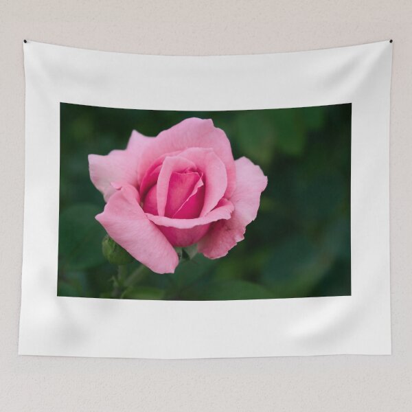 Item preview, Gorgeous Pink Rose Flower Garden designed and sold by newburyboutique.