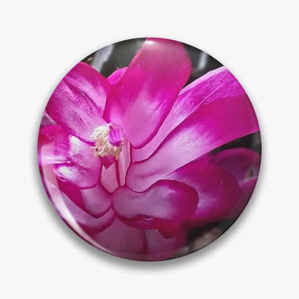 Item preview, NS Cactus Flower IA.© designed and sold by OmarHernandez.