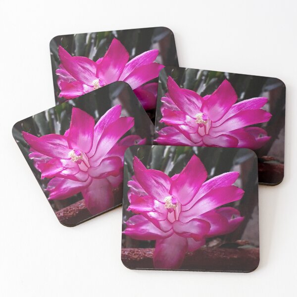 Item preview, NS Cactus Flower IA.© designed and sold by OmarHernandez.