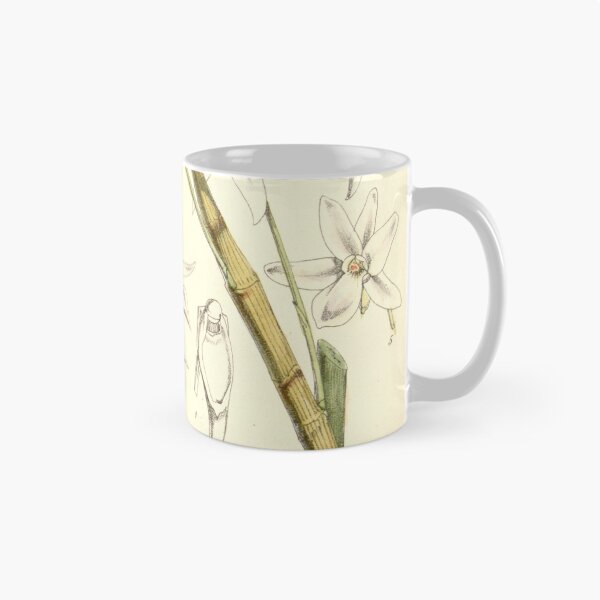 Item preview, Dendrobium barbatulum designed and sold by EsotericBotanic.