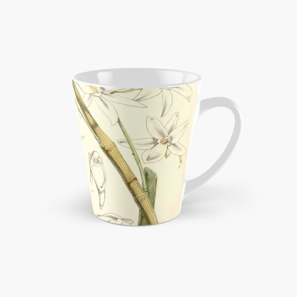 Item preview, Dendrobium barbatulum designed and sold by EsotericBotanic.