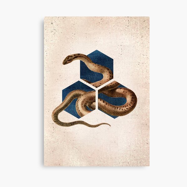 Snake Dimension Geometrical Art Canvas Print