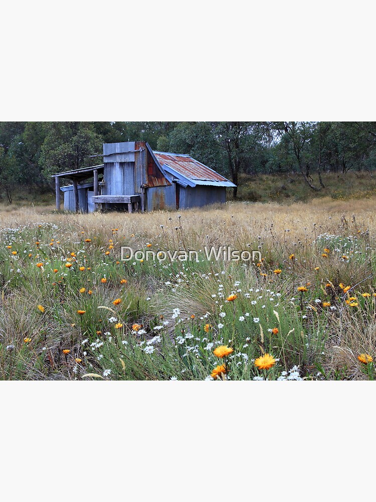 Thumbnail 3 of 3, Poster, Kellys hut in a field of flowers .Snowy Plain designed and sold by DONWILSON.