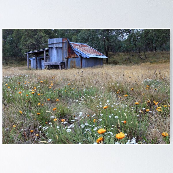 Item preview, Kellys hut in a field of flowers .Snowy Plain  designed and sold by Donovan Wilson.