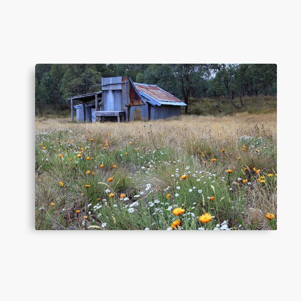 Item preview, Kellys hut in a field of flowers .Snowy Plain  designed and sold by Donovan Wilson.
