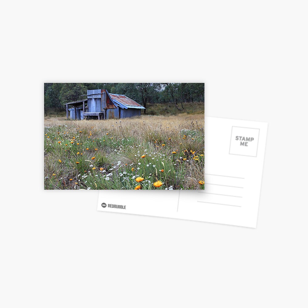 Item preview, Postcard designed and sold by DONWILSON.