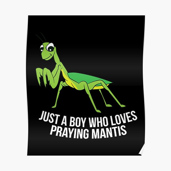 Just a Boy Who Loves Praying Mantis Poster