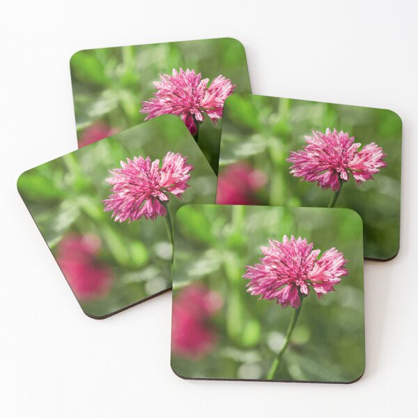 Item preview, The pinkish Cornflower 1 designed and sold by Jouko Lehto Photography.