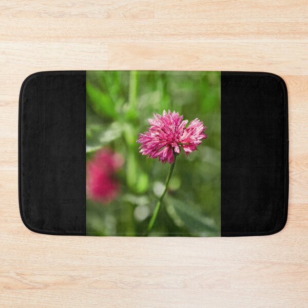 Item preview, The pinkish Cornflower 1 designed and sold by Jouko Lehto Photography.