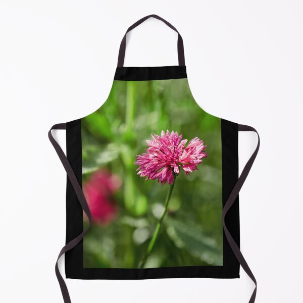 Artikelvorschau, Die rosa Kornblume 1 entworfen und verkauft von Jouko Lehto Photography.
