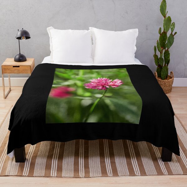 Item preview, The pinkish Cornflower 1 designed and sold by Jouko Lehto Photography.