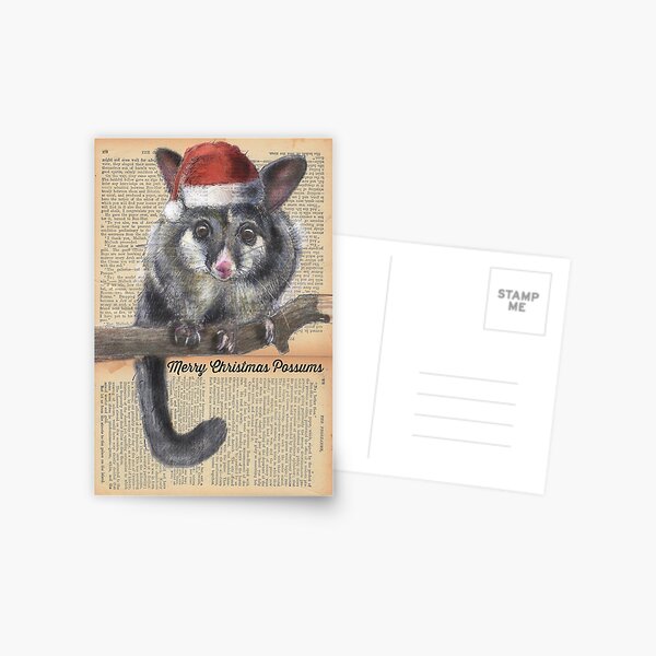 Christmas Possum Postcard