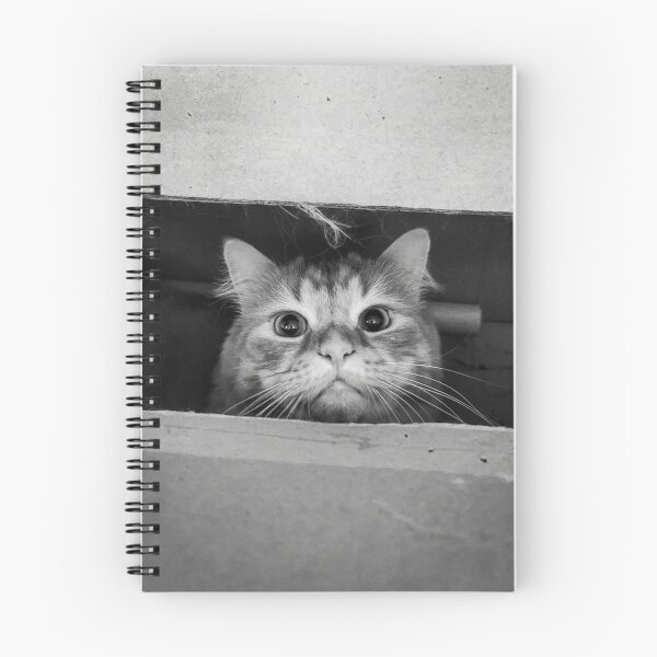 Item preview, Cat Secretly watching through window designed and sold by PatilDesigns.
