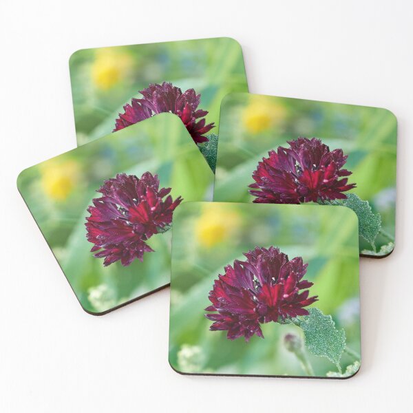 Item preview, The Deep Red Cornflower 2 designed and sold by Jouko Lehto Photography.