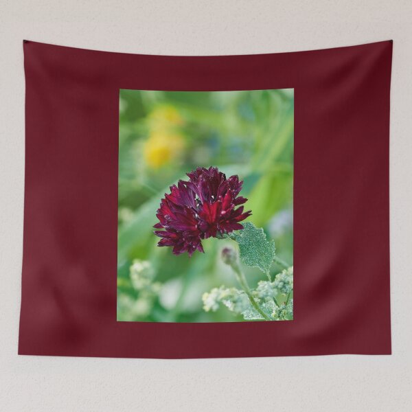 Item preview, The Deep Red Cornflower 2 designed and sold by Jouko Lehto Photography.