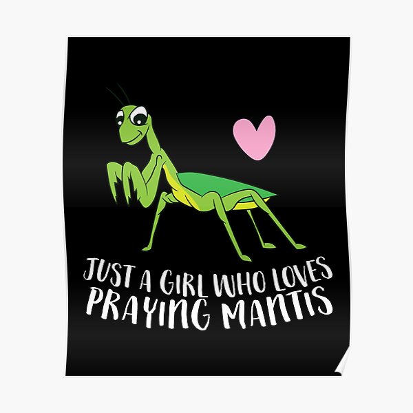 Just a Girl Who Loves Praying Mantis Poster