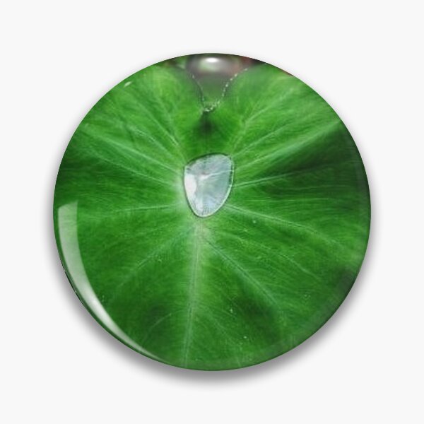 Item preview, Pearl like waterdrop on palm leaf. Micro nature beauty designed and sold by PatilDesigns.
