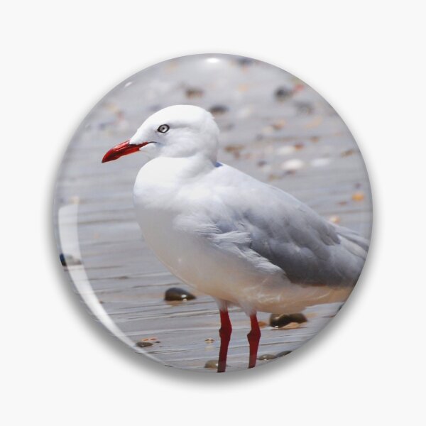 Item preview, Seaside Seagull Bird Photography designed and sold by Digitaldingo.