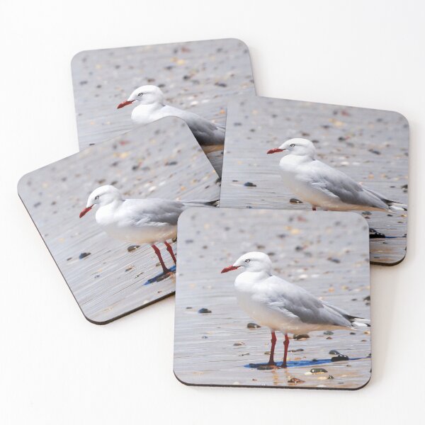 Item preview, Seaside Seagull Bird Photography designed and sold by Digitaldingo.