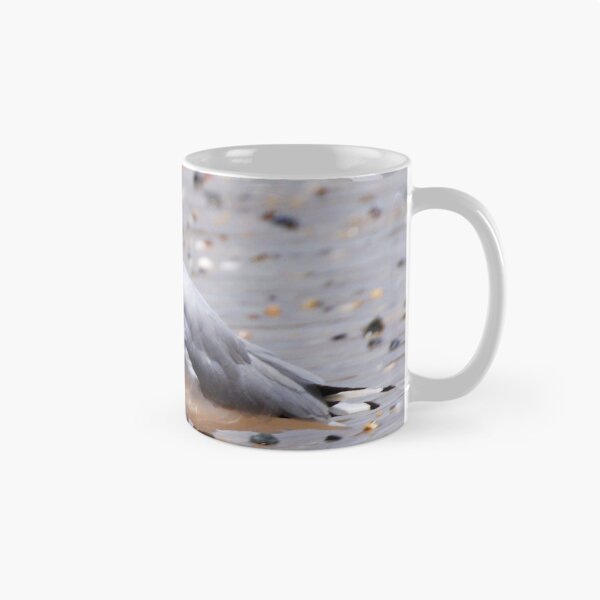 Item preview, Seaside Seagull Bird Photography designed and sold by Digitaldingo.