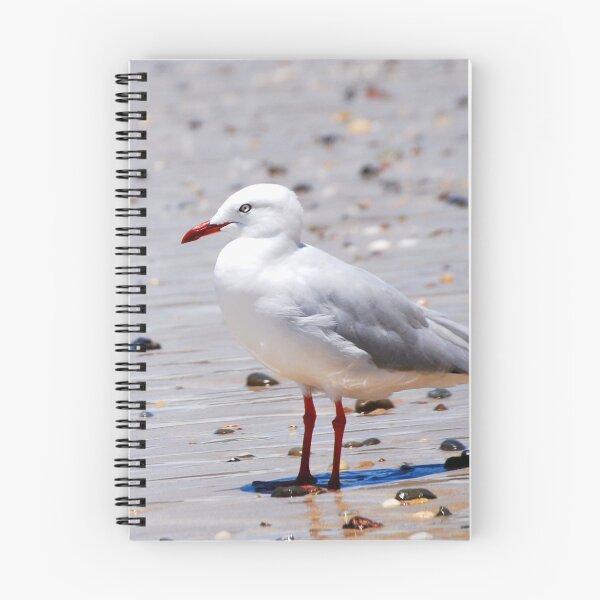 Item preview, Seaside Seagull Bird Photography designed and sold by Digitaldingo.