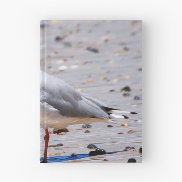 Item preview, Seaside Seagull Bird Photography designed and sold by Digitaldingo.