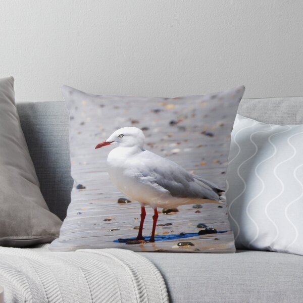 Item preview, Seaside Seagull Bird Photography designed and sold by Digitaldingo.