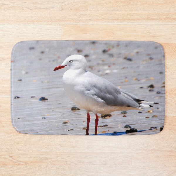 Item preview, Seaside Seagull Bird Photography designed and sold by Digitaldingo.