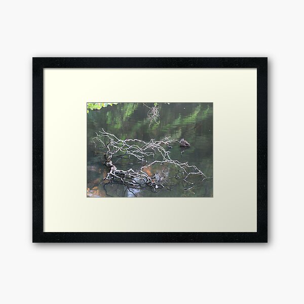 Item preview, Duck Pond designed and sold by Geoff Smith.