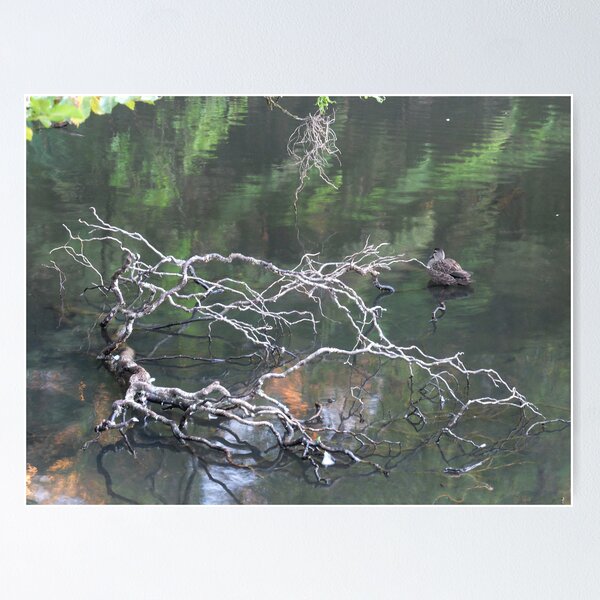 Item preview, Duck Pond designed and sold by Geoff Smith.
