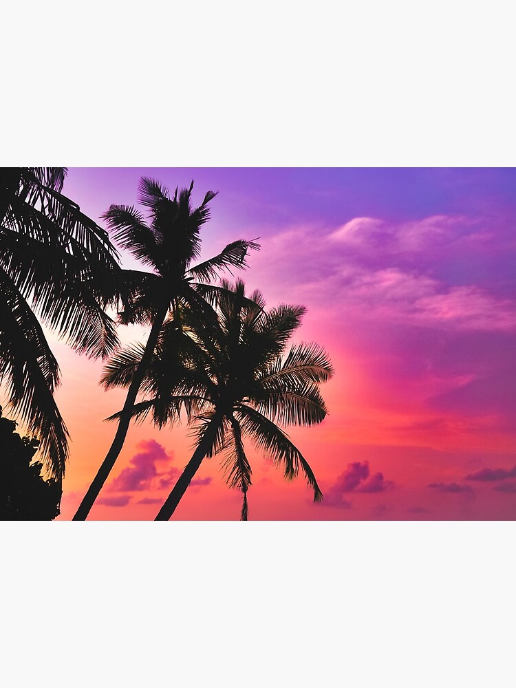 Beautiful Tropical Pink Sunset by newburyboutique