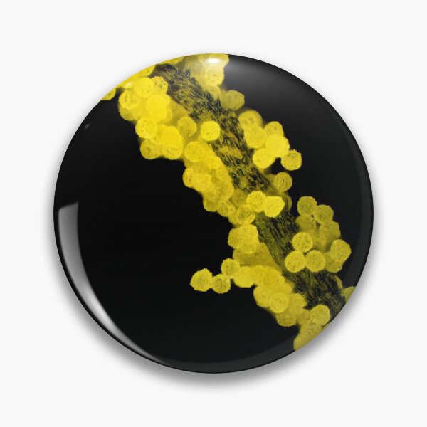 Item preview, Lapsana communis stamen with pollen under the microscope designed and sold by SDym Photography.