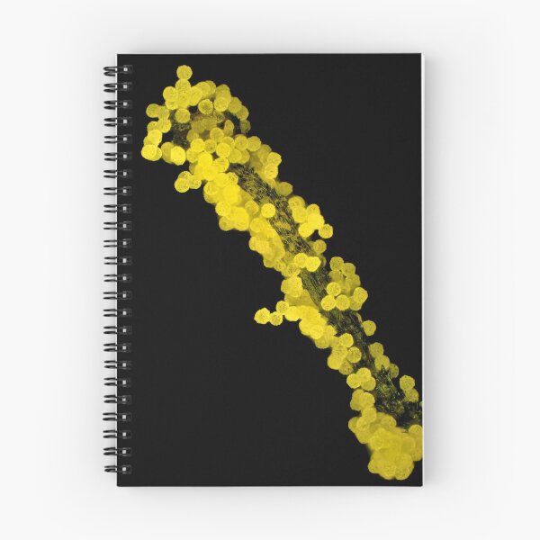Item preview, Lapsana communis stamen with pollen under the microscope designed and sold by SDym Photography.