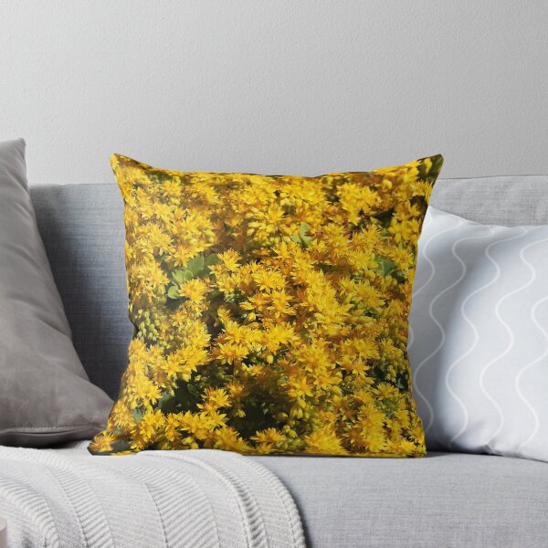 Item preview, The Yellow Flowers Of Succulents  designed and sold by Joy Watson - Natural Light Photography .